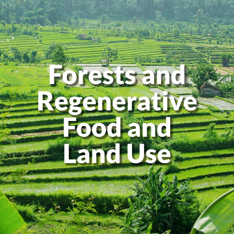 forests-land-use