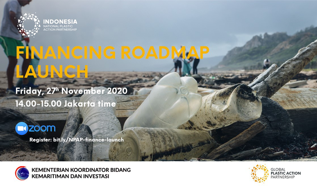 27 Nov 2020 | NPAP Financing Roadmap Launch