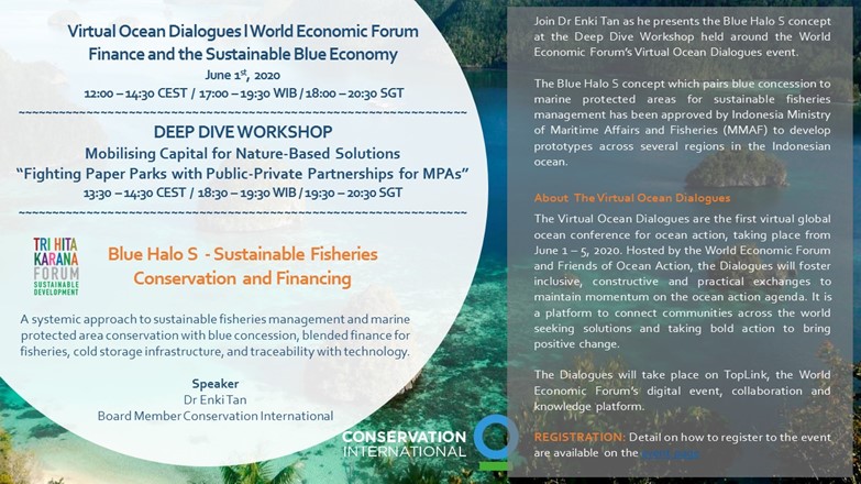 01 Jun 2020 | Deep Dive Workshop at Virtual Ocean Dialogues, World Economic Forum Finance and the Sustainable Blue Economy