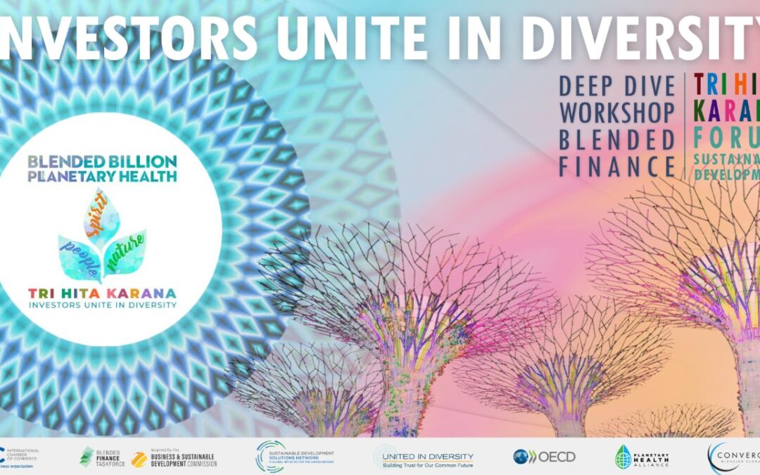 11 April – 10 May 2022 | Tri Hita Karana Forum “Investors Unite in Diversity” Blended Finance Deep Dive Workshops | Blended Finance: Everything you Wanted to Know but were Afraid to Ask